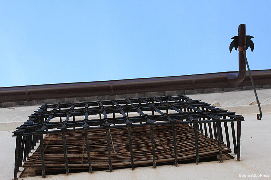 Reja. Dragón. Cielo.