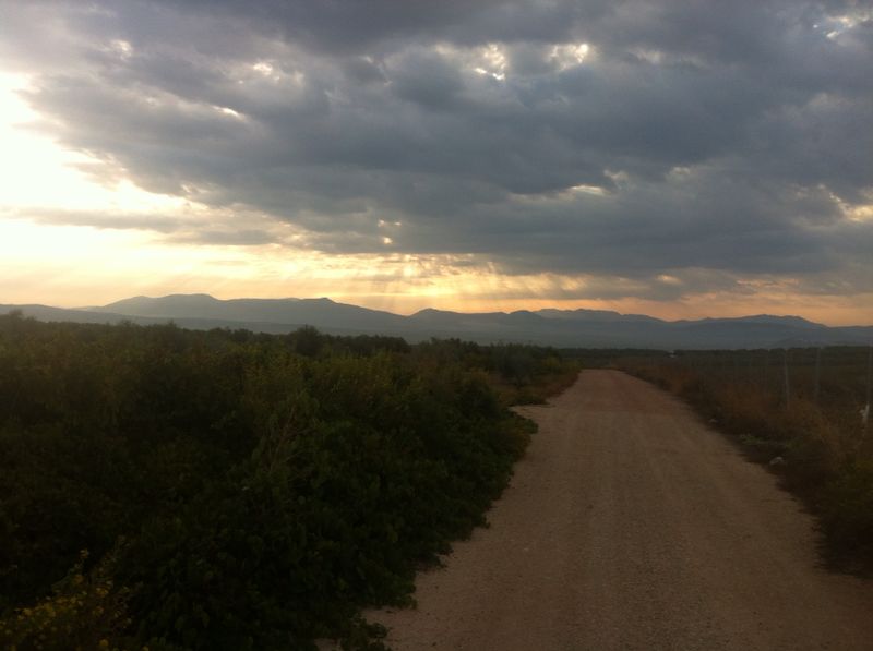 Foto: Marcelo Romero. 2014 