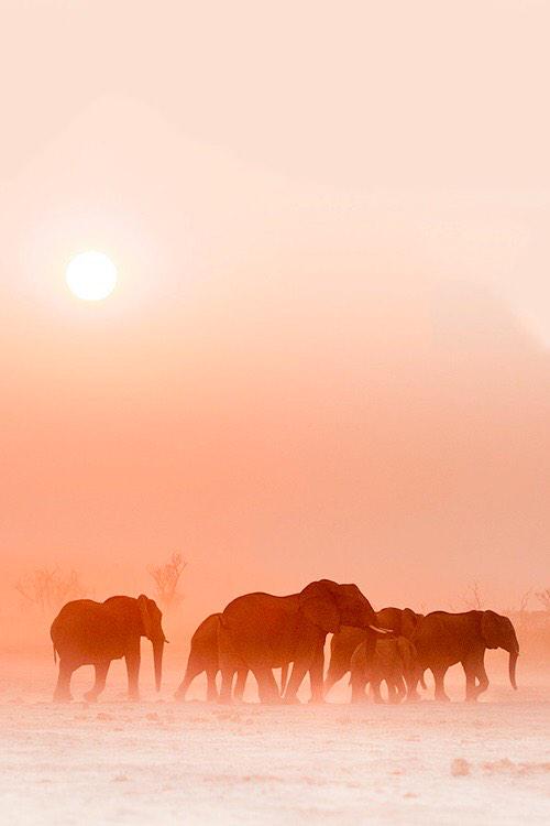 Foto extraída de internet.