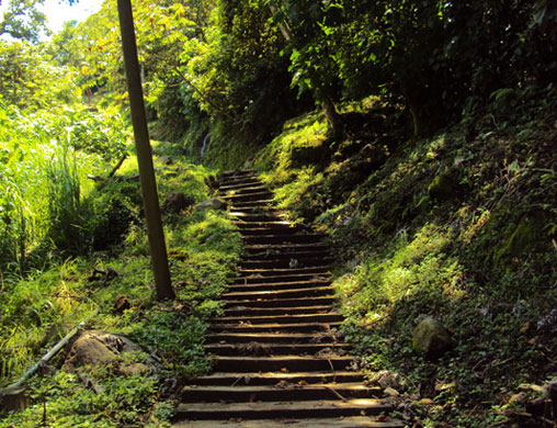 500 escalones. Foto extraída de la red.