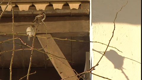 Foto extraída de la red.