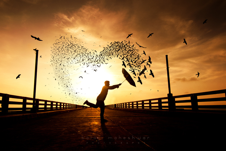 Imagen extraída de internet.