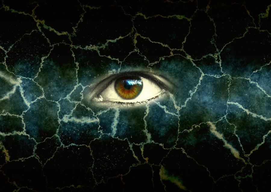 Imagen extraída de internet.