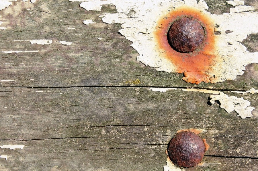 Imagen extraída de internet. Licencia: CC0 Public Domain.