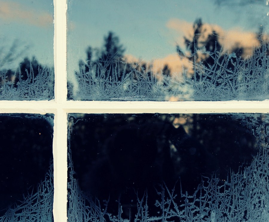 The Flag of Winter. Alex L'aventurier.Todos los derechos reservados.