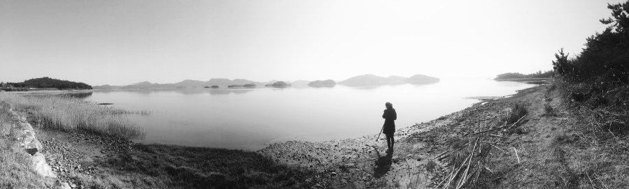 Landscape. Foto: YONGSAM JO . CC0 Public Domain.