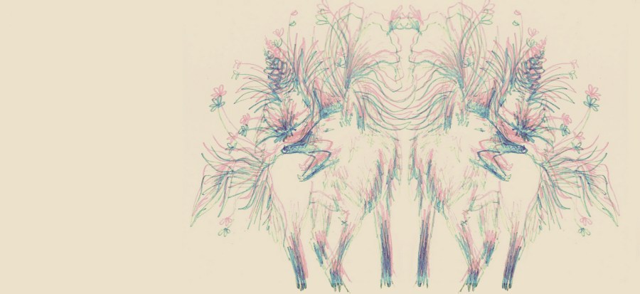 El lobo. Foto: Efe Godoy. Todos los derechos reservados. 