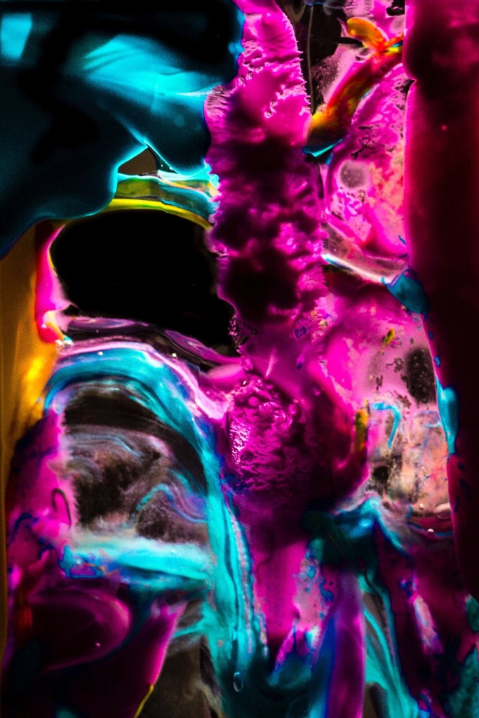 Rose. Foto: Gisela Merkuur .CC0 Public Domain.