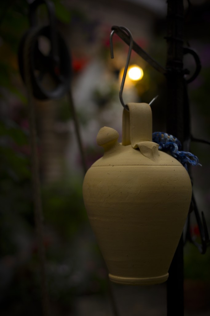 Botijo. Foto: David Sanchez. CC0 Public Domain.