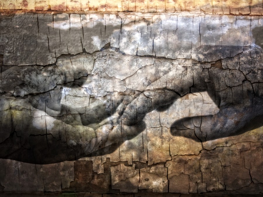 Hands. Nadejda Bostanova. CC0 Public Domain.