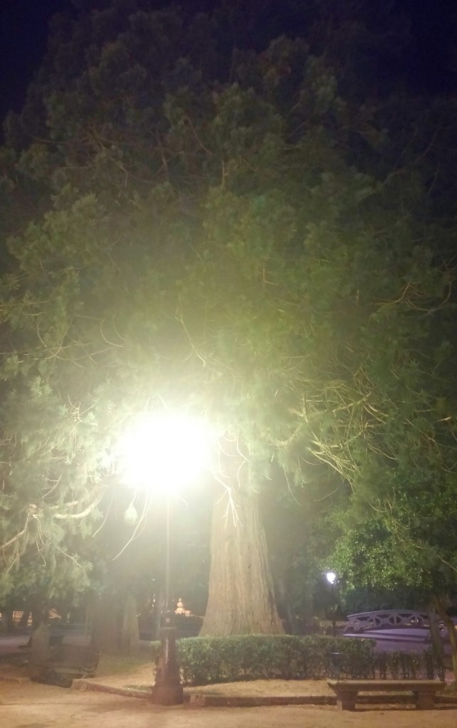 Lugo. Foto: Antinomia. All rights reserved. 