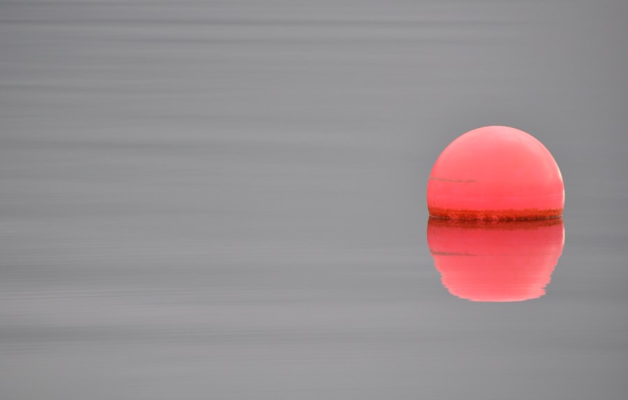 Water.Foto: Jörg Petersen. CC0 Public Domain.