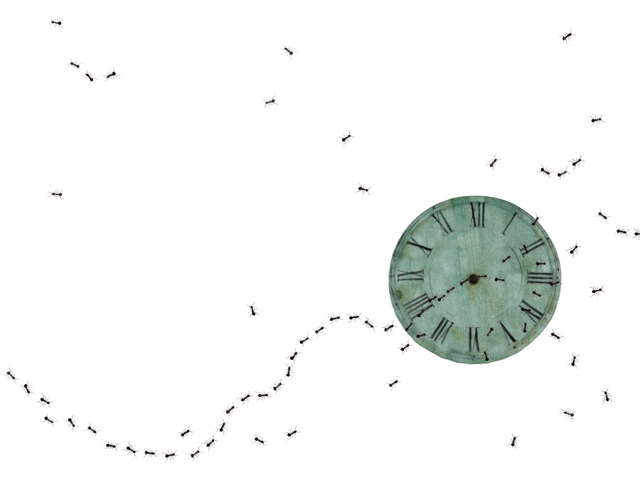 La piel extensa. Adolfo Serra. All right reserved. 