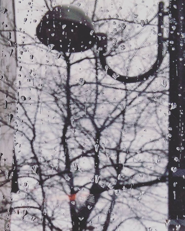 «Vendrá la lluvia y tendrá tus ojos» Foto: Belén Bermejo. All rights reserved. 