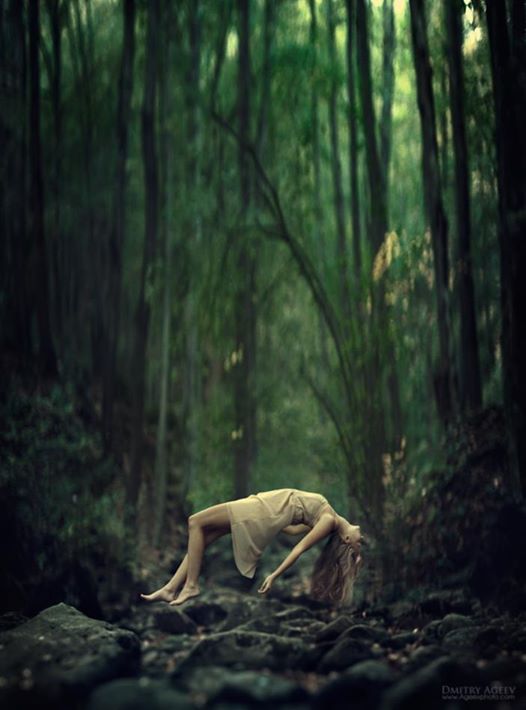 Foto: Dimitry Ageev. All rights reserved. 